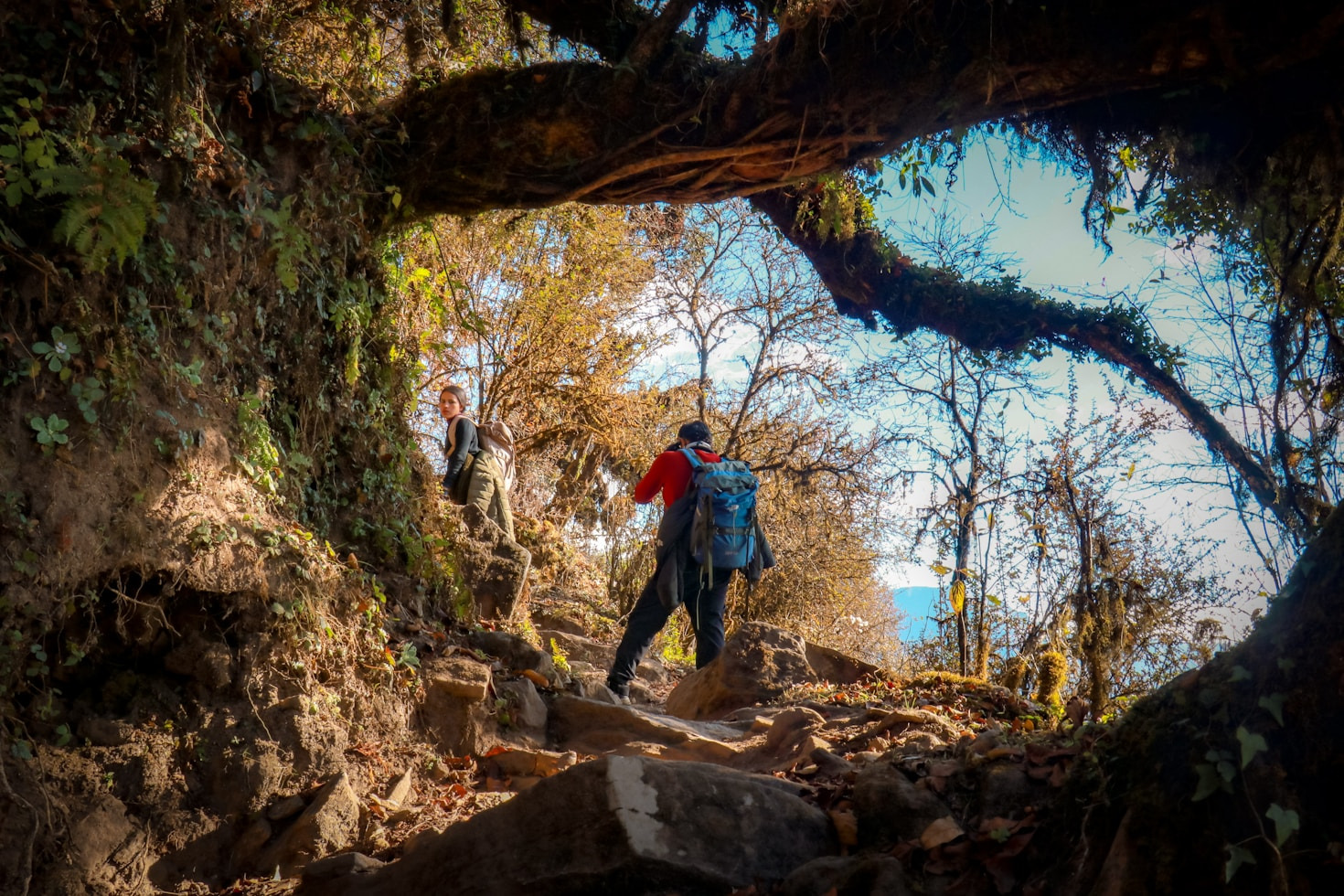 Finding Hidden Nature Gems Near You